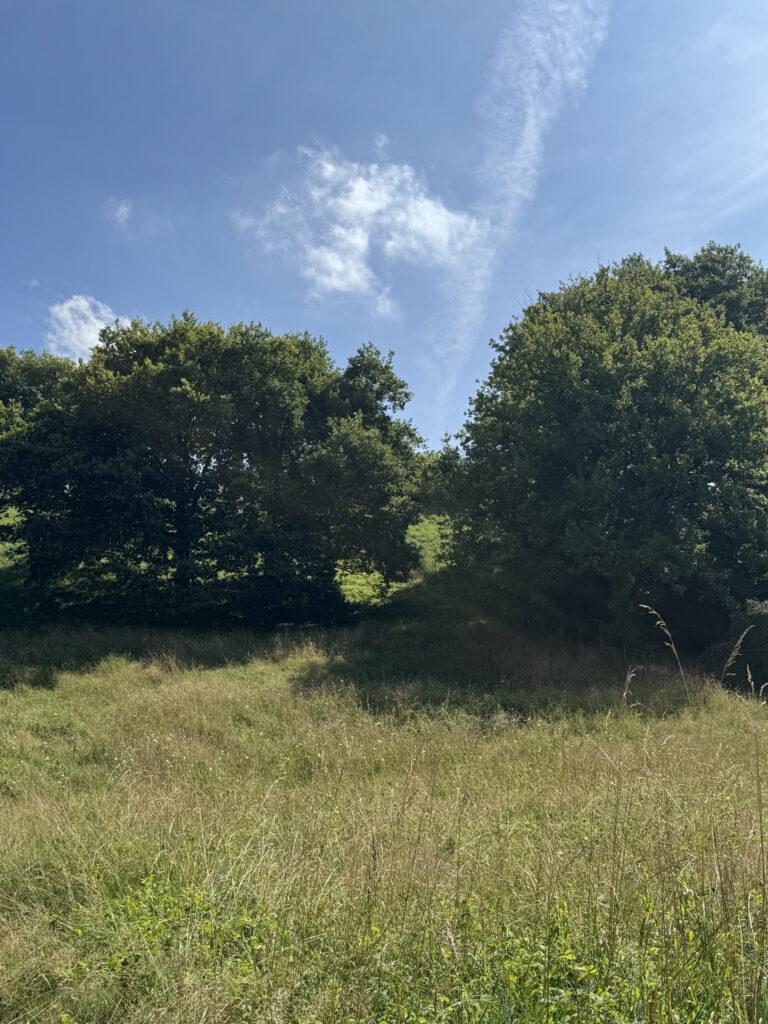 Terrain à bâtir exposé sud, viabilisé,, de 1520m2 dans la co